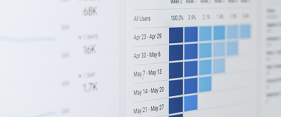 Robust Security for Your Website