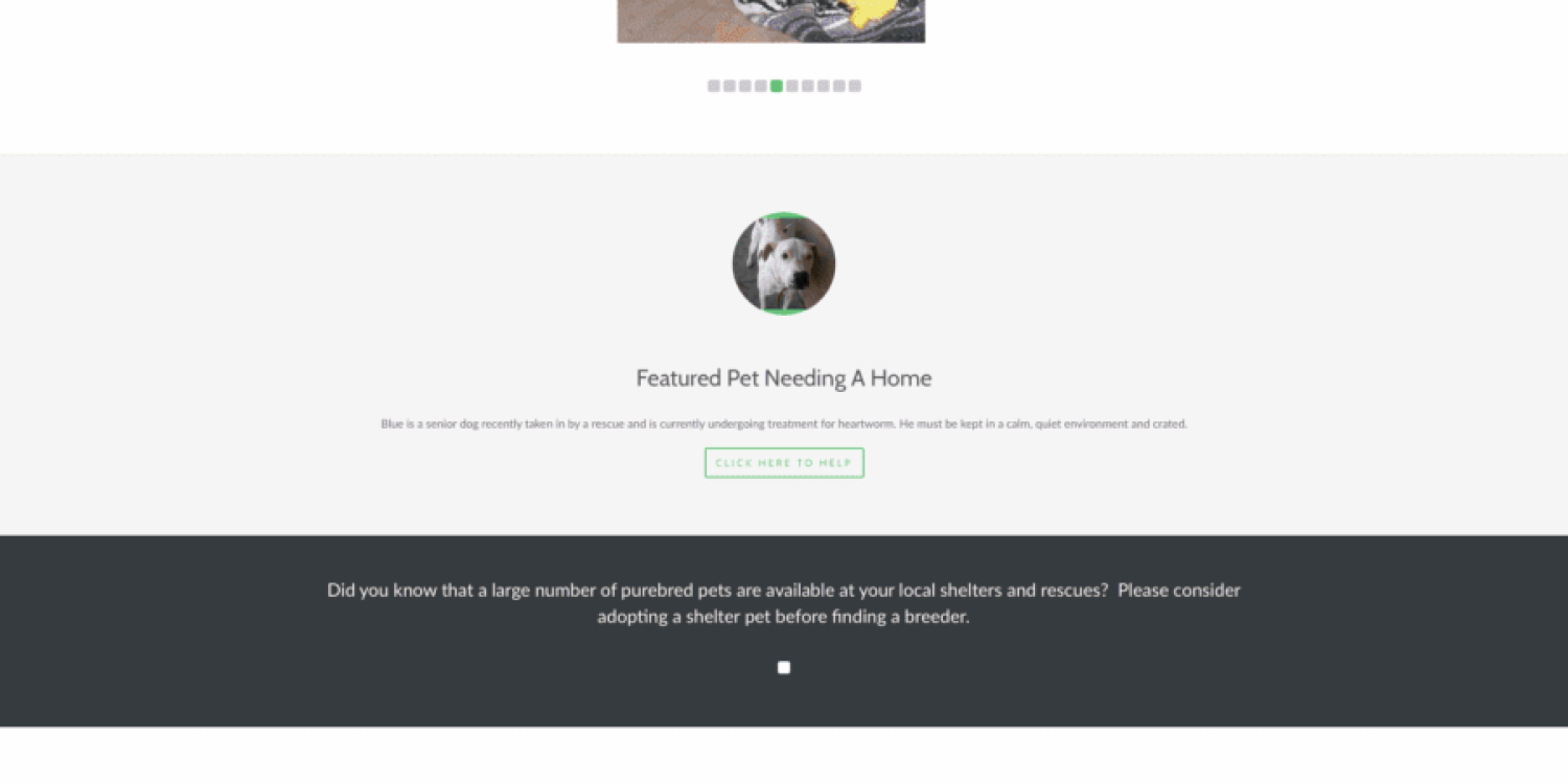 pets-stories